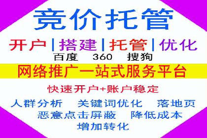 知名SEM公司案例分析：优化策略与成果